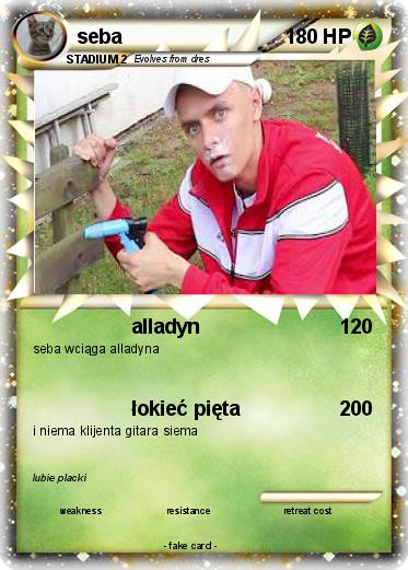 Pokemon seba
