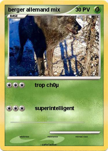 Pokemon berger allemand mix