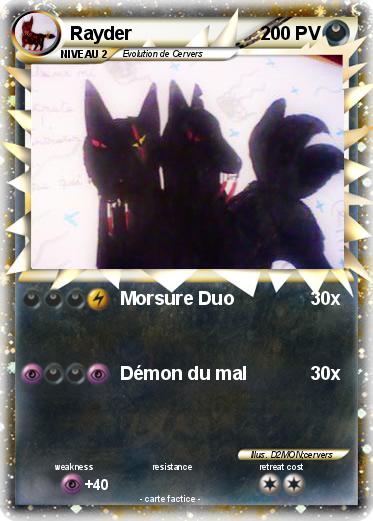 Pokemon Rayder