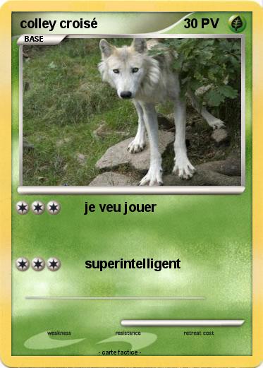 Pokemon colley croisé