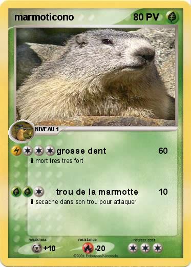 Pokemon marmoticono