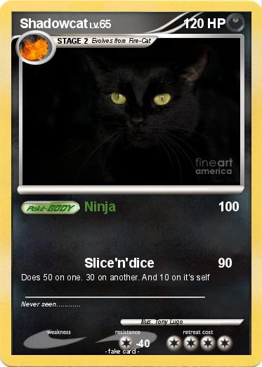 Pokemon Shadowcat