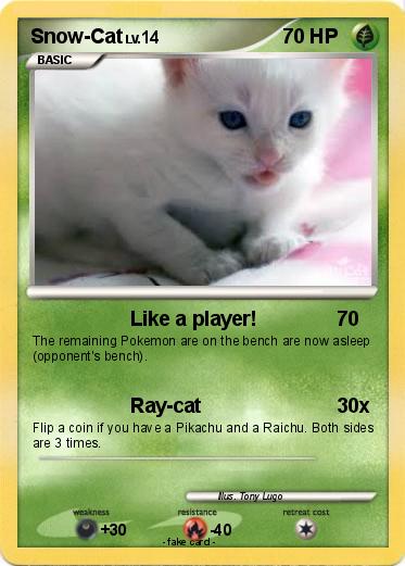 Pokemon Snow-Cat