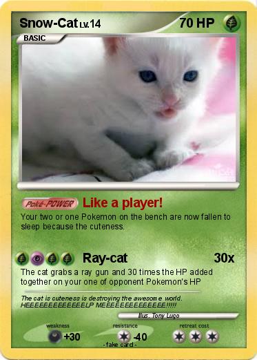 Pokemon Snow-Cat