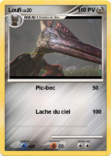 Pokemon Loufi