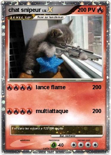 Pokemon chat snipeur