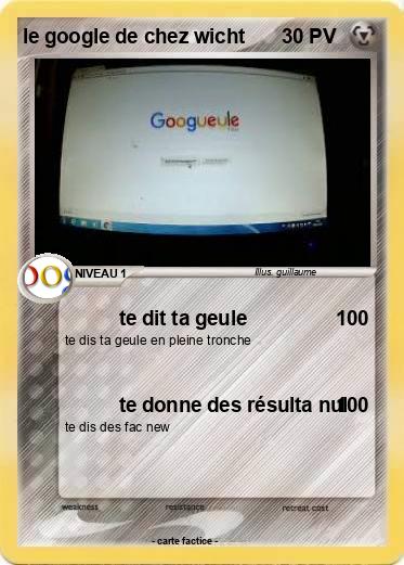 Pokemon le google de chez wicht