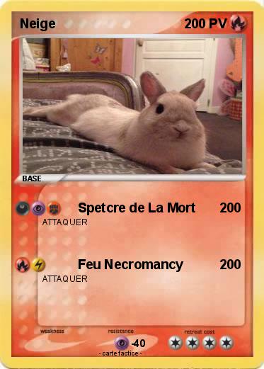 Pokemon Neige
