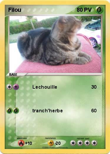 Pokemon Filou