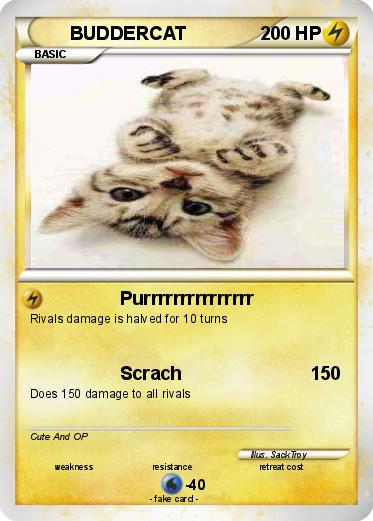 Pokemon BUDDERCAT