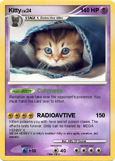 Pokemon Kitty