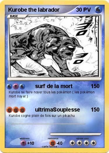 Pokemon Kurobe the labrador