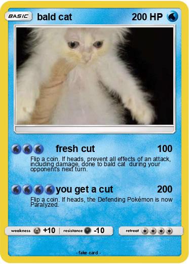 Pokemon bald cat