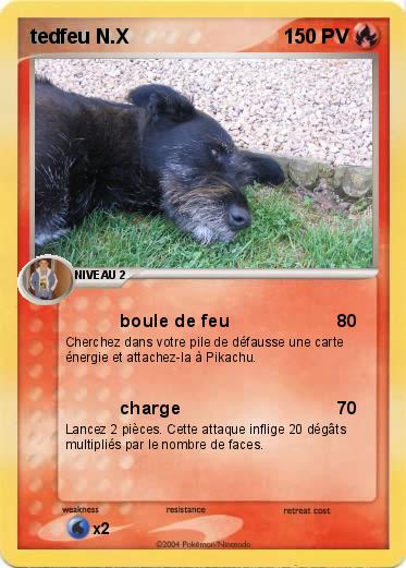 Pokemon tedfeu N.X