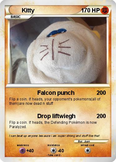 Pokemon Kitty