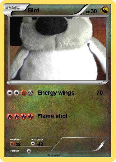 Pokemon Bird