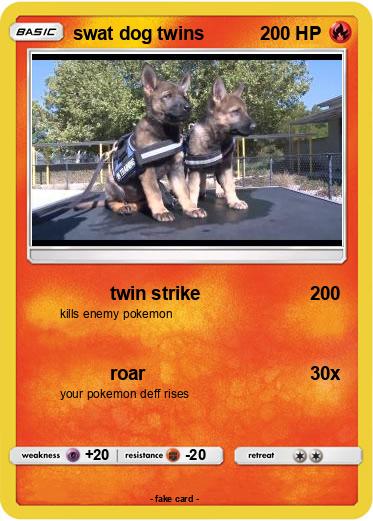 Pokemon swat dog twins
