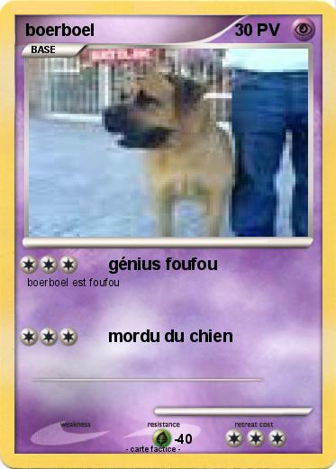 Pokemon boerboel