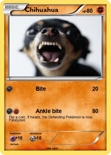 Pokemon Chihuahua