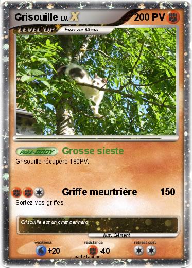 Pokemon Grisouille