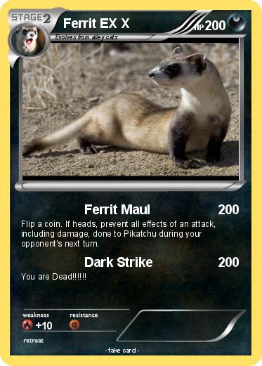 Pokemon Ferrit EX X