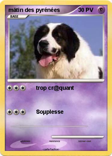 Pokemon mâtin des pyrénées