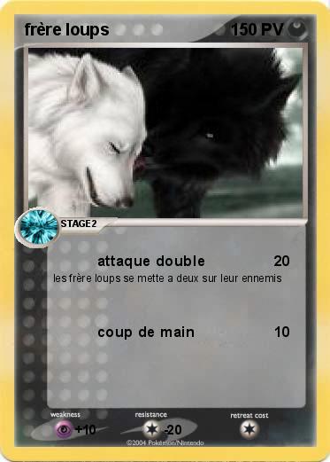 Pokemon frère loups