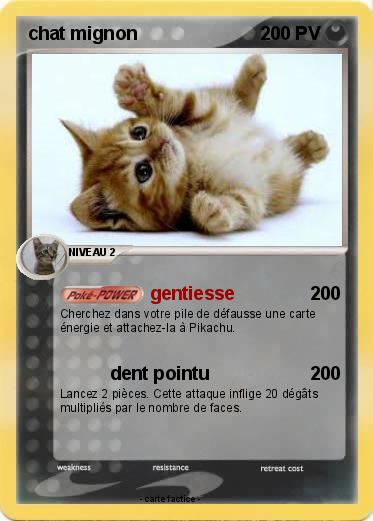 Pokemon chat mignon