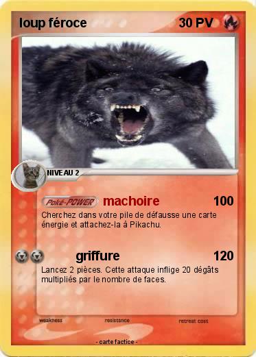 Pokemon loup féroce