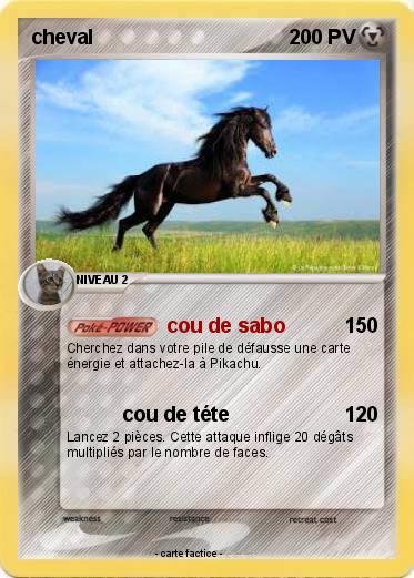 Pokemon cheval