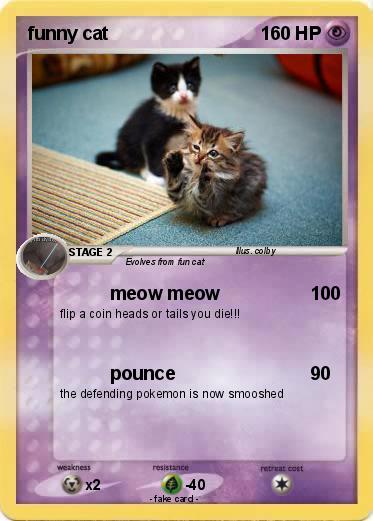 Pokemon funny cat