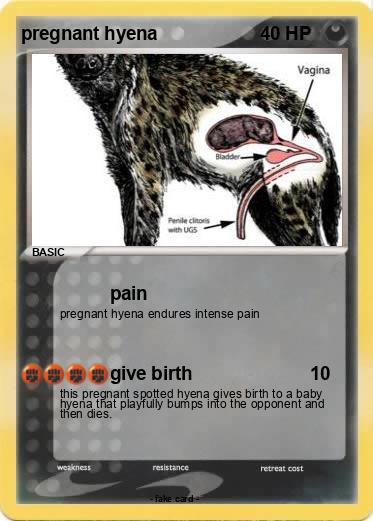 Pokemon pregnant hyena