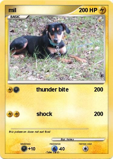 Pokemon mil