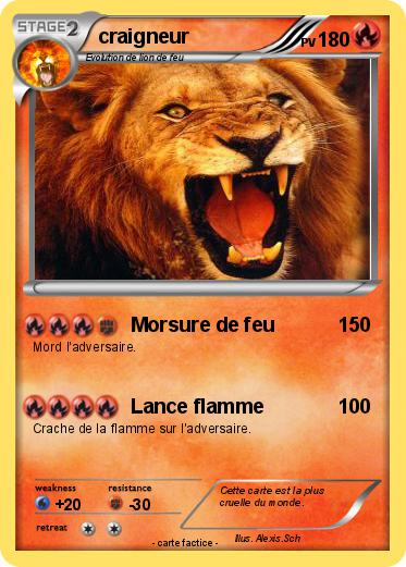 Pokemon craigneur