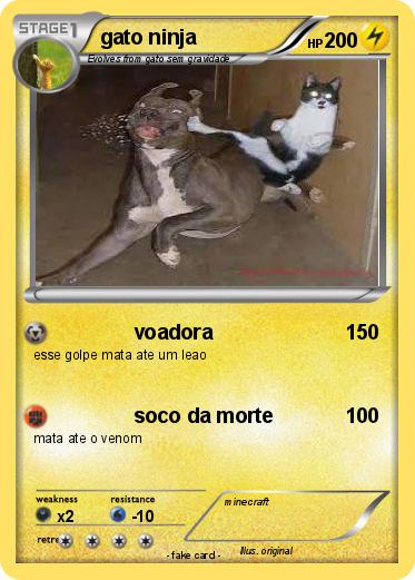 Pokemon gato ninja