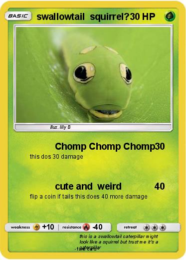 Pokemon swallowtail  squirrel?