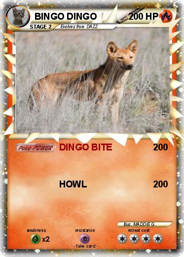 Pokemon BINGO DINGO