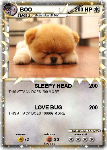 Pokemon BOO