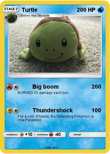 Pokemon Turtle