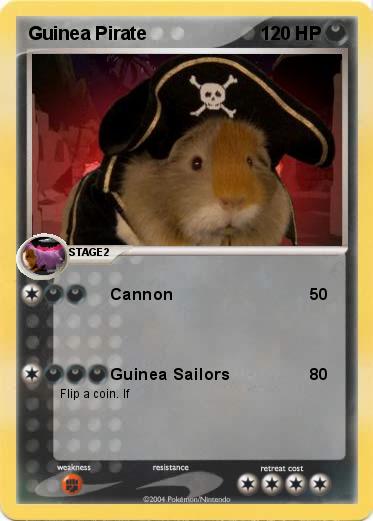 Pokemon Guinea Pirate