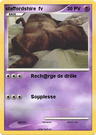 Pokemon staffordshire  fv