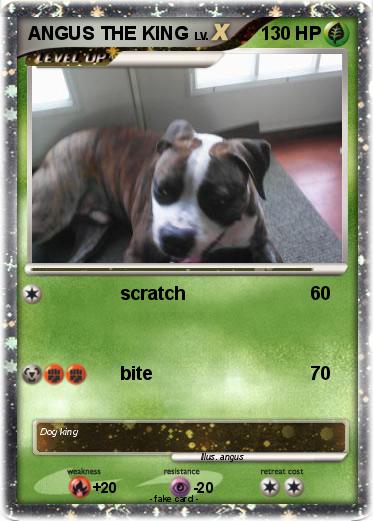 Pokemon ANGUS THE KING