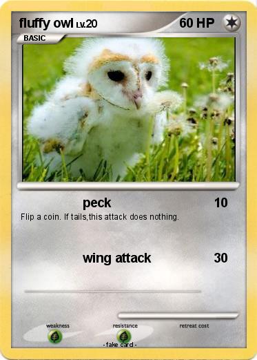Pokemon fluffy owl