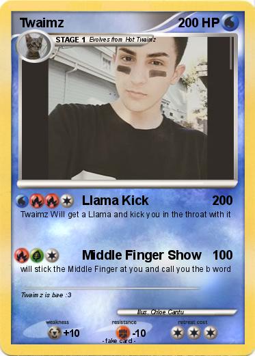 Pokemon Twaimz