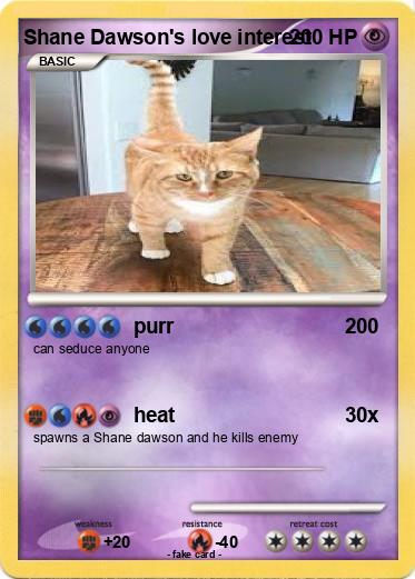 Pokemon Shane Dawson's love interest