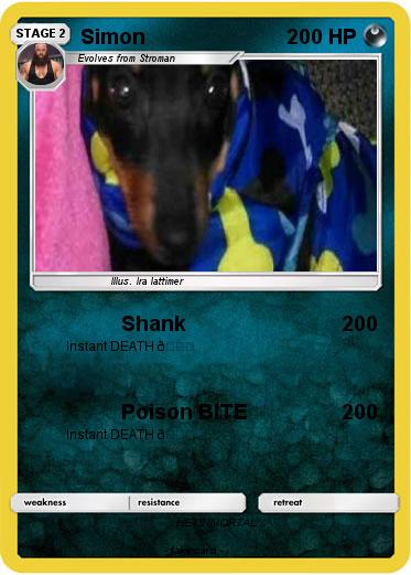 Pokemon Simon