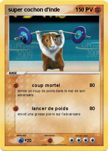 Pokemon super cochon d'inde