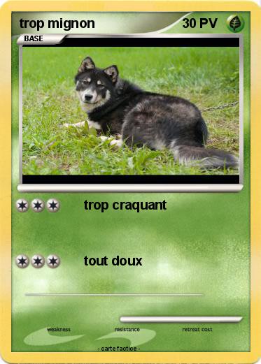 Pokemon trop mignon
