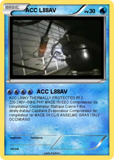 Pokemon ACC L88AV