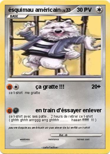 Pokemon ésquimau américain